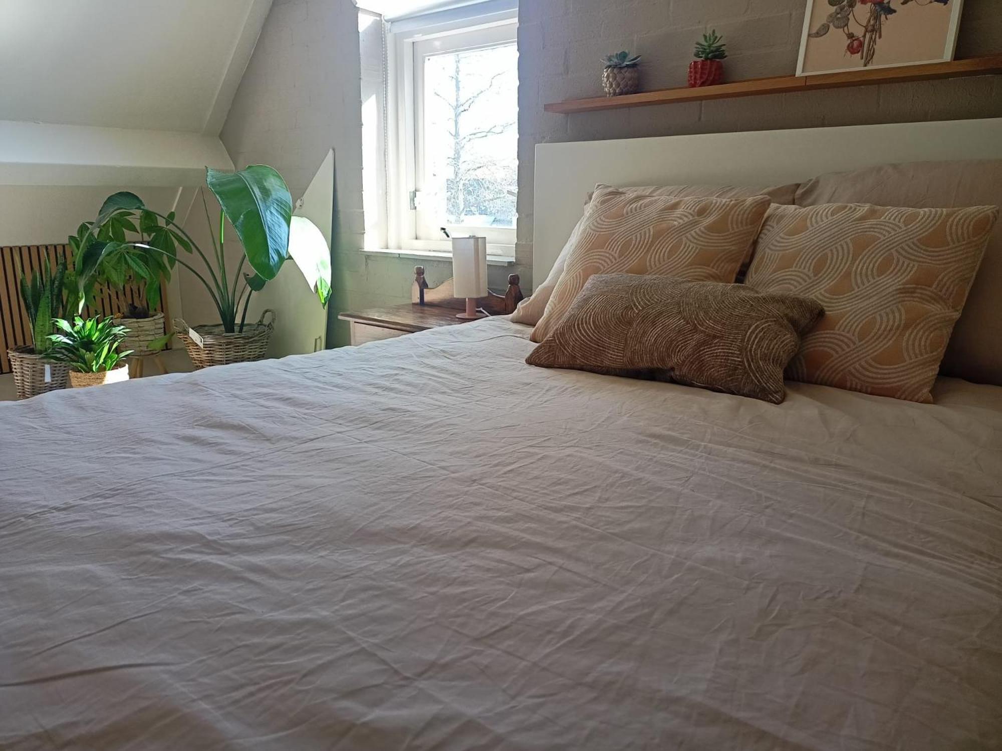 Holiday home Leeuwarder *